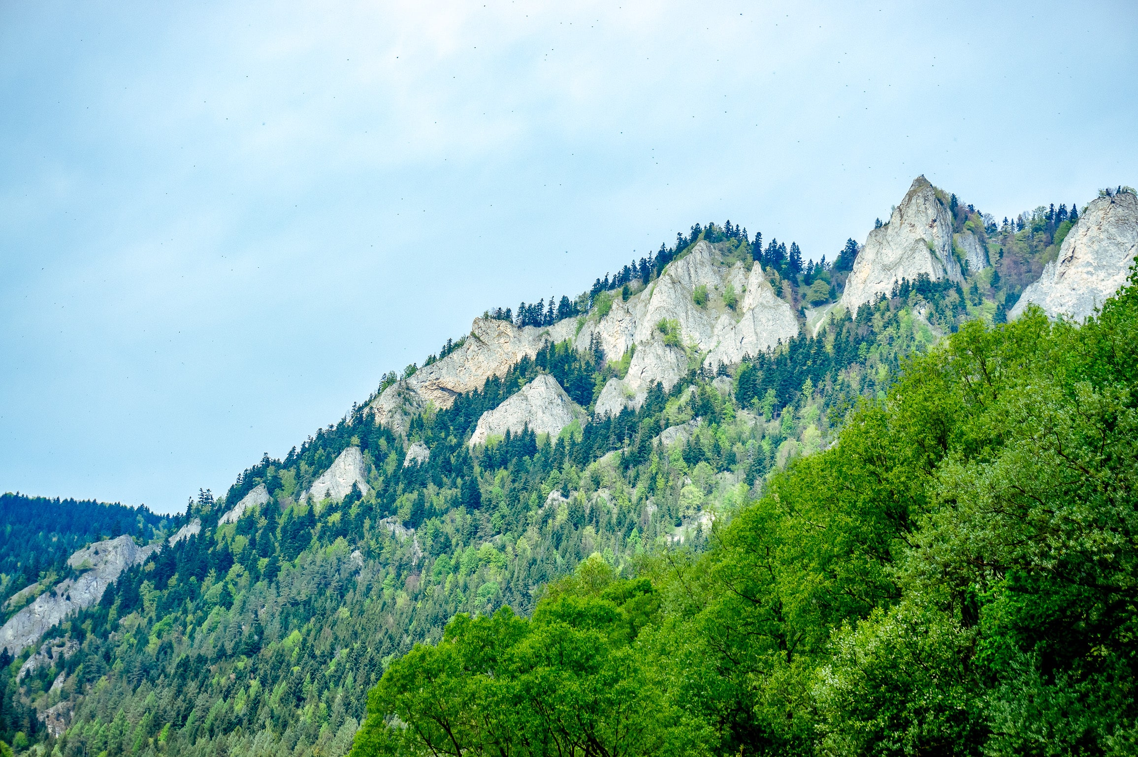 Pieniny | Osada Malinów