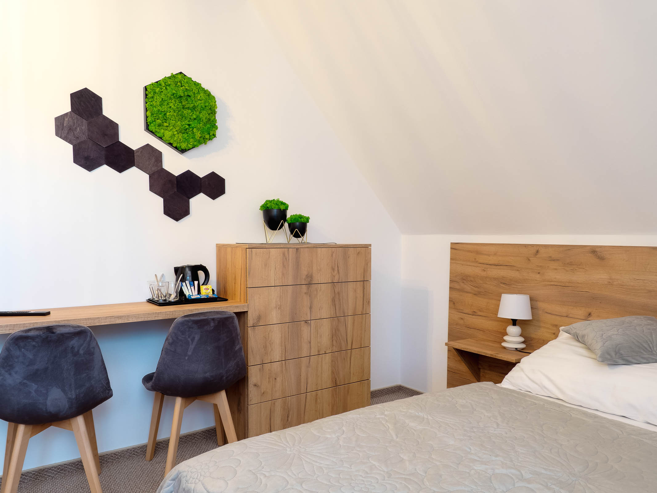 GALERIA | Osada Malinów (Osada Agata)