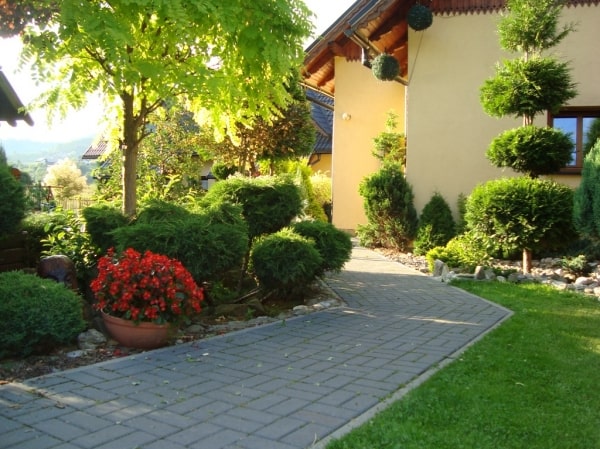 GALERIA | Osada Malinów (Osada Agata)